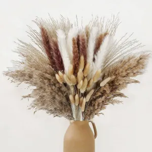 Natural dried pampas grass bouquet with bunny tails and reed flowers for elegant home decor.