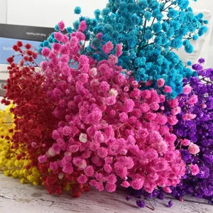 Colorful dried baby breath flowers bouquet detail view, perfect for home decor and photography.