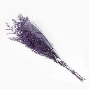 Bellissimo mazzo di statice viola essiccato con confezione trasparente per decori e regali.