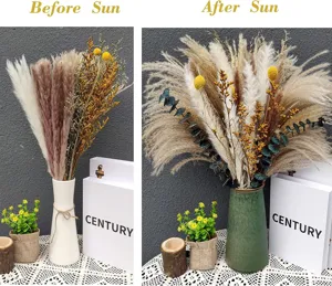 Dried flower bouquet set with natural pampas grass eucalyptus billy balls home decor