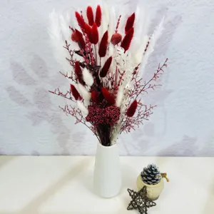 Détail de fleurs de roseau séchées, texture duveteuse rouge et blanche pour déco naturelle.