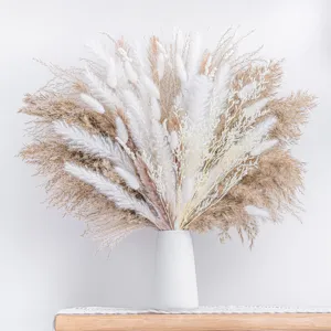 Natural Dried Flower Bouquet Pampas Grass Reed Lover Grass For Home Wedding Party DIY Floral Decoration
