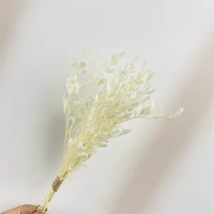 Mini bouquet di fiori secchi naturali stabilizzati per scatola regalo e decorazione matrimonio.