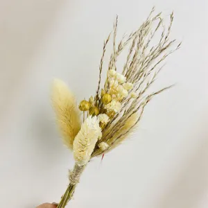 Mini bouquet di fiori secchi naturali piccolo allestimento floreale per decorazioni scatola regalo.