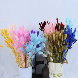 Bunte getrocknete Hasenschwanzgras Blumenstrauß natürliche botanische Heimdeko Gesteck