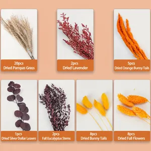 Assorted dried flowers bouquet natural botanical pampas grass eucalyptus stems home decor