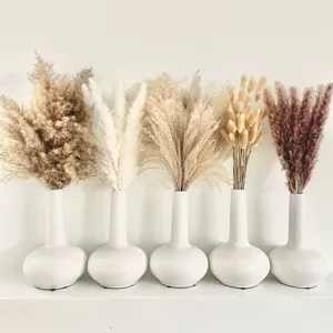 Natural Dried Pampas Grass Bouquet Dried Flowers Natural Plants For Home Decor Living Room Wedding Party Arrangement