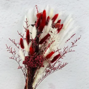 Bouquet de Herbe de Pampas Séchée Naturelle Roseaux Fleurs Queue de Lapin Décoration Intérieure Bohémienne Arrangement Floral Séché Pour Salon