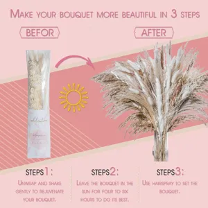 Fluffy dried pampas grass bouquet for home and wedding decor, natural fluffy botanical design.