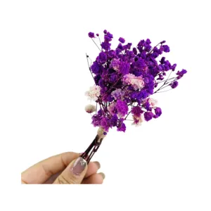 Mini bouquet di fiori secchi naturali per scatola regalo decorazione matrimonio accessorio floreale.