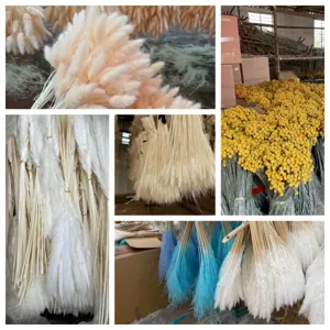 Natural dried bunny tails pampas grass and billy balls bouquets for home decor and floral arrangements.