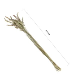 Natural dried elf grass bouquet, 60cm length, perfect for home decor and DIY floral arrangements.