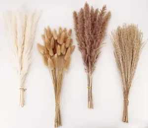 Natural dried flower bouquet detail view, assorted pampas grass and bunny tails for home decor.