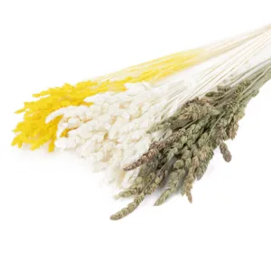 Natural dried grass bouquet for home decoration DIY floral arrangement glass accessories.