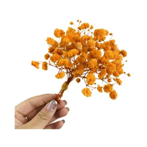 Mini bouquet di fiori secchi naturali gipsofila arancione per decorazione scatola regalo