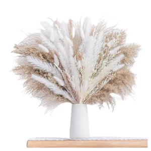 Natural dried pampas grass bouquet with white ceramic vase for home wedding decor DIY craft.