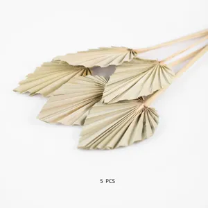 Close-up of natural dried palm leaves, mini fan-shaped floral decor for home and wedding.