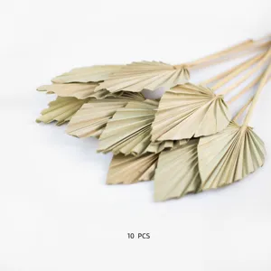 Miniature natural dried palm leaves fan shape for home wedding decor, 10 pcs pack.
