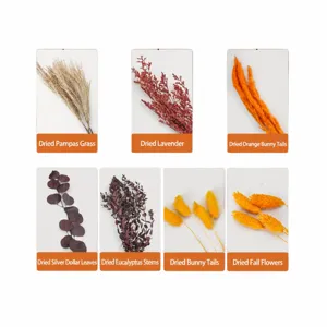 Dried flowers assortment bundle for home decor, natural pampas grass and bunny tails.