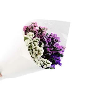 Mazzo di fiori secchi di statice colorati per decorazione domestica e progetti fai da te.