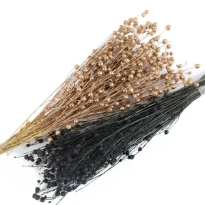 Detalle de primer plano de ramos de flores secas naturales con vainas doradas y negras.