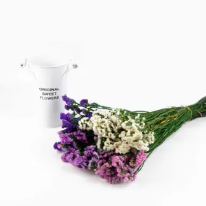 Vista dettagliata di un colorato bouquet di fiori secchi con secchiello in ferro bianco.