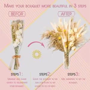 Bouquet de herbe de pampa séchée fleurs de roseau naturelles pour décoration maison