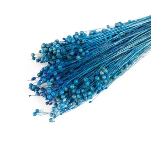 Ramo natural de vainas de semillas de lino secas azules para decoración del hogar y DIY.