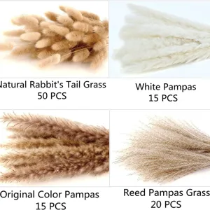 Natural dried pampas grass rabbit tail bouquet home decor wedding floral arrangement