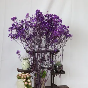 Purple preserved baby's breath dried flowers bouquet for home decor, wedding and gift.