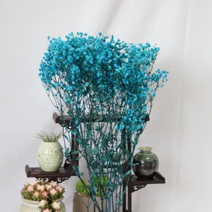 Blue dried gypsophila flower bouquet detail view, beautiful floral arrangement for home decor and gifts.