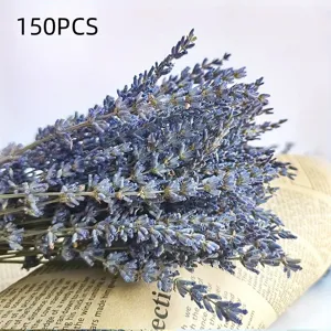 Natural dried lavender flowers bouquet 150pcs for home decor room decoration floral arrangement.