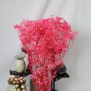 Pink preserved gypsophila dried flowers bouquet, ideal for home decor and floral arrangements.