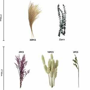 Dried pampas grass eucalyptus bunny tails bouquet natural dry flowers set for home decor