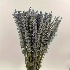 Natural dried lavender flower bouquet details, perfect for home decor and fragrant sachets.
