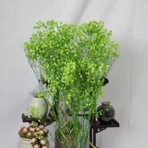 Preserved green gypsophila dried flowers baby breath bouquet for home floral decor gift