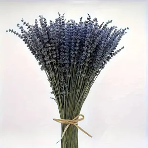 Dried lavender flower bouquet detail shot, natural purple floral decor display.