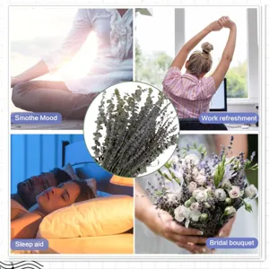 Dried eucalyptus leaves and lavender bouquet for home decor, wedding, and sleep aid.