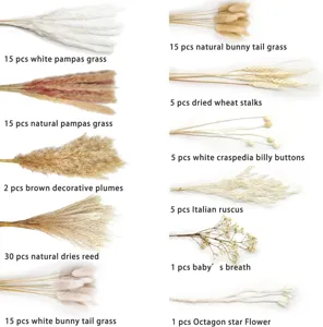 Dried pampas grass bunny tail dried flowers bouquet natural home decor plant bundle SKU