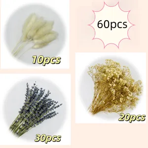 Dried flower bouquet collection including bunny tails, lavender, and baby's breath for decor.