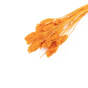 Detaillierte Nahaufnahme eines orangefarbenen Trockenblumenstraußes für die Heimdekoration.