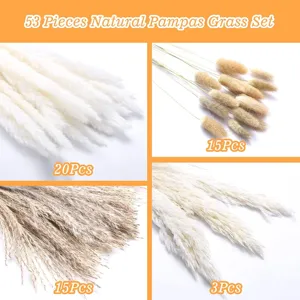 Natural pampas grass set 53 pieces dried flowers fluffy bunny tails boho home decor