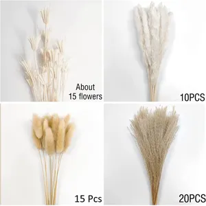 Natural dried pampas grass and bunny tails dried flower bouquets for home decor wholesale.