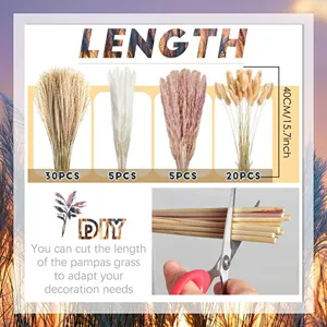 Natural dried pampas grass bouquet set, small reed floral arrangement 40cm for home decor.