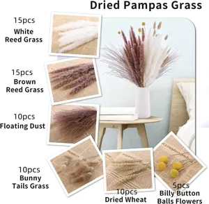 Dried pampas grass natural decorative dried flowers bouquet for home decor and wedding arrangement