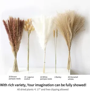 Natural dried pampas grass bouquet assorted fluffy reed for boho home decor floral arrangement.
