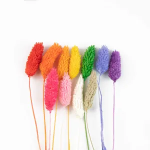 Buntes getrocknetes Hasenschwanzgras für moderne Heimdekoration und elegante Blumenarrangements.