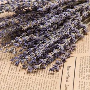 Close-up dried lavender flower bouquet detail shot, perfect for rustic home decor and props.