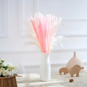 Bouquet de Fleurs Séchées Naturelles Petit Roseau Herbe Queue de Lapin Décoration Intérieure Arrangement Floral Cadeau Botanique
