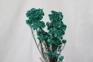 Gros plan de fleurs de riz séchées et teintes en vert, texture détaillée pour la décoration.